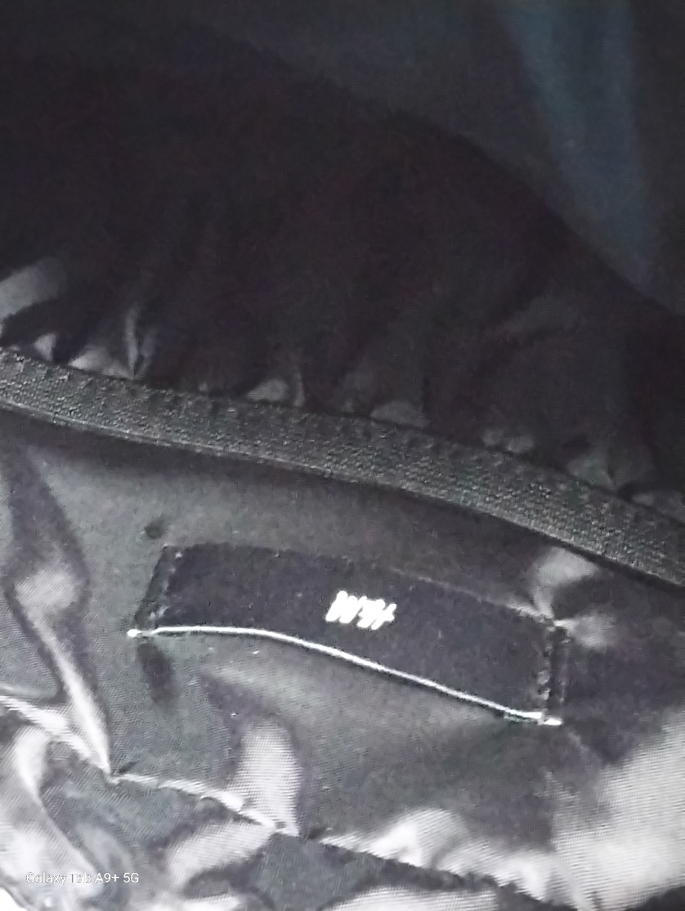 H&M BRAND
